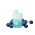 Lost Mary BM600 Blueberry by Elfbar – Einweg E-Zigarette mit reifen Blaubeeren